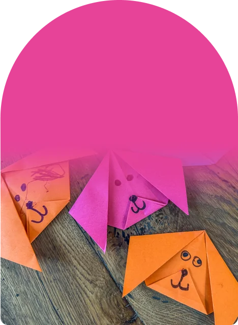 50 projects to fold, from silly animal faces to paper planes